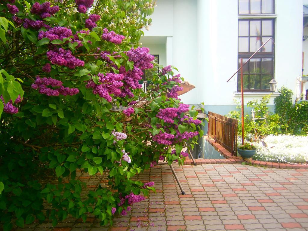 Nemunas Tour Residence Ringaudai Exterior foto